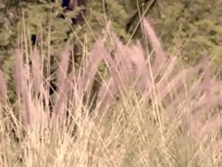 Latina spinner veronica rodriguez åtnjuter en utomhus x topplista video-